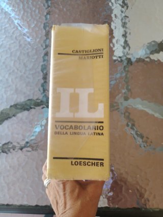 Il vocabolario della lingua latina