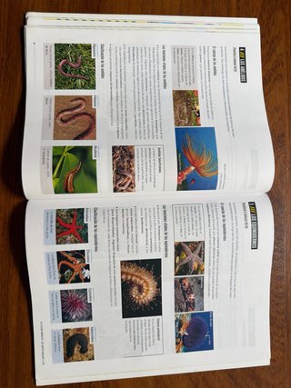 Biología Y Geología 1 Secundaria