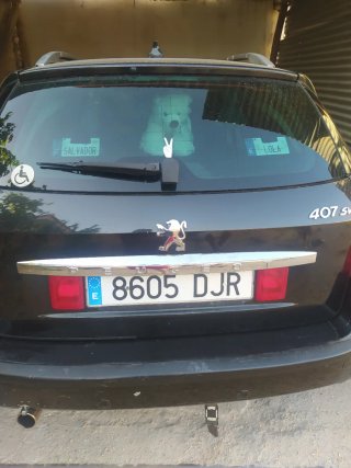 Peugeot 407 2005