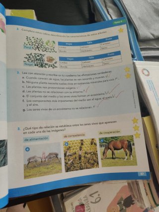 Conocimiento del Medio Natural, Social y Cultur...