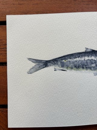 Acuarela de sardina
