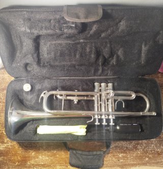 Trompeta plateada con funda
