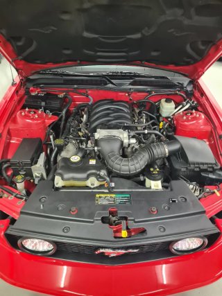 Ford Mustang 2005