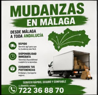 Profesionales en Mudanzas