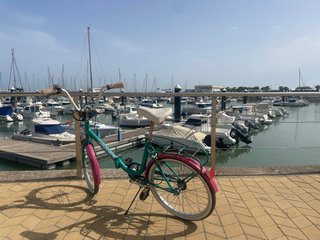 Bicicleta Vintage Turquesa y Rosa plegable