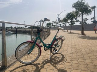 Bicicleta Vintage Turquesa y Rosa plegable