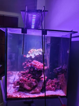 Acuario Marino Completo. 550€