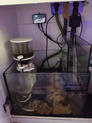 Acuario Marino Completo. 550€