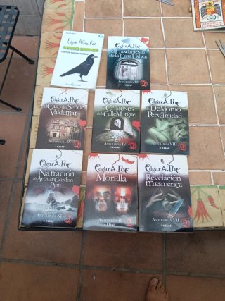 Novela Edgar A. Por lote 8 libros
