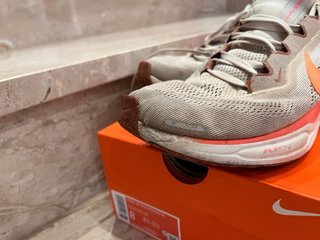 Zapatillas Nike Pegasus 41 Beige y Naranja