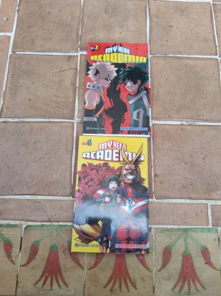 Novela comic my Hero academia