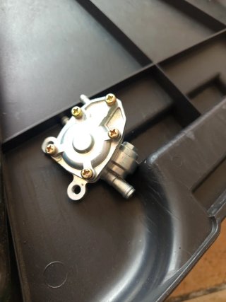 Grifo Gasolina Jog Artistic