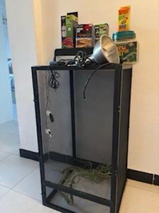 TERRARIO PARA CAMALEÓN +ACCESORIOS