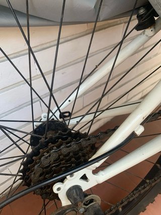 Bicicleta Montaña Cup's Disc Concept 726.30