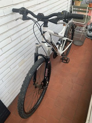 Bicicleta Montaña Cup's Disc Concept 726.30