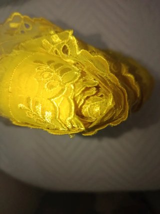 Encaje bordado amarillo