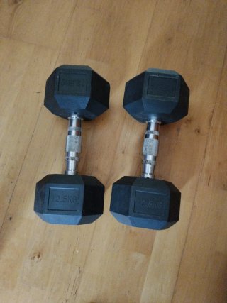 Manubri da 12,5 kg (coppia)