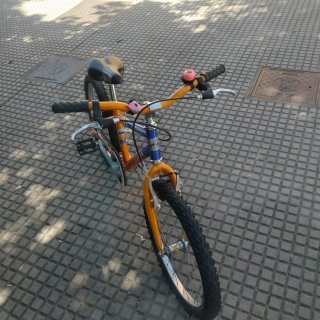 Bicicleta unisex 20 pulgadas, para niños