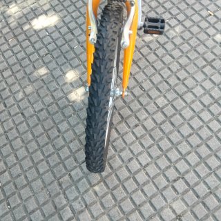 Bicicleta unisex 20 pulgadas, para niños
