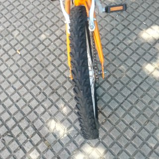 Bicicleta unisex 20 pulgadas, para niños