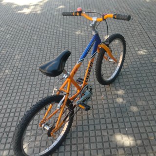 Bicicleta unisex 20 pulgadas, para niños