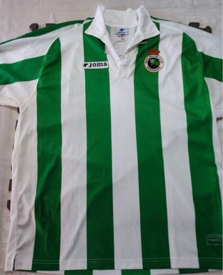 Camiseta Joma Racing Santander Verde/Blanca