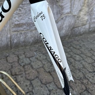 Cuadro Colnago Extreme Power Carbono 75 54