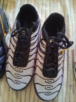 2 Nike Air Max Plus TN