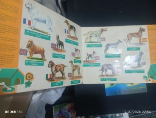 Álbum Panrico Perros Razas Origen