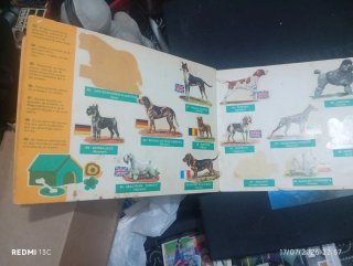 Álbum Panrico Perros Razas Origen