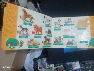 Álbum Panrico Perros Razas Origen