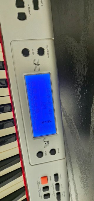 Piano Shubert Negro