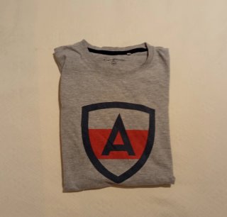 Camiseta Alvaro Moreno gris con escudo