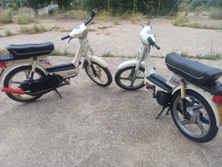 Vespino GL Naranja Rieju. Aprilia.
