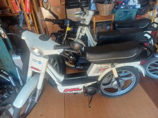 Vespino GL Naranja Rieju. Aprilia.