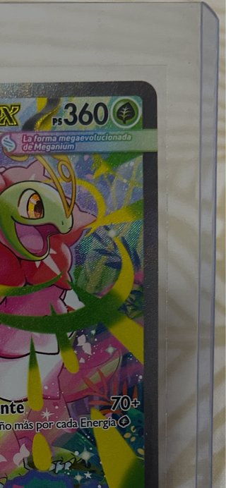 Carta Pokémon Mega-Meganium EX