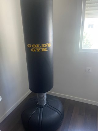 Saco de boxeo Gold's Gym 170cm