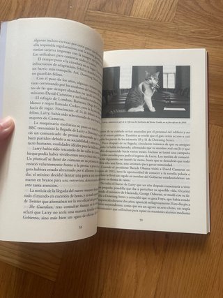 Gatos.Los felinos que dominan el mundo