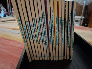 Fumetti Tex Willer dal numero 721 al numero 738.
