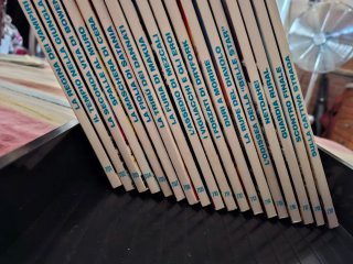 Fumetti Tex Willer dal numero 721 al numero 738.