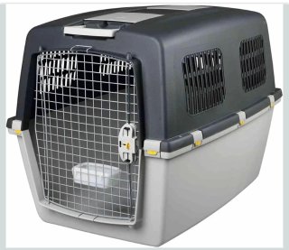 Transporte para perros