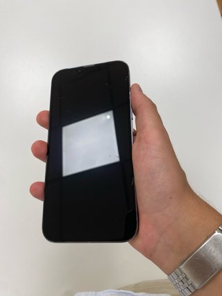 iPhone 13 Pro Max Apple