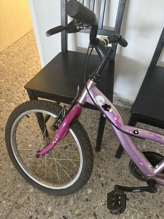 Bicicleta niña rosa 20 pulgadas
