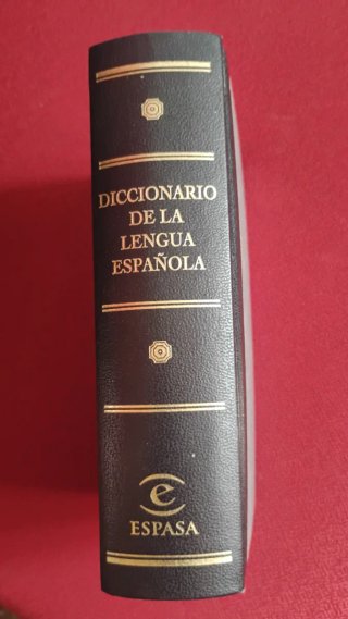 Diccionario lengua española espasa