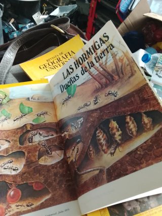 REVISTAS de 1978
