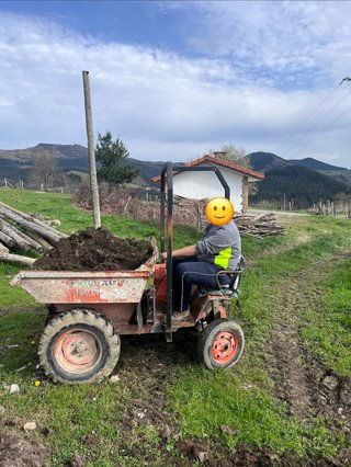 Dumper Ausa 150 DH