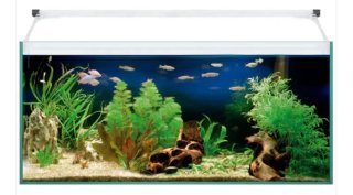 Acuario Aqua Pro LED 100