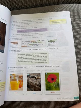 Lengua Castellana y Literatura . 1 Secundaria. ...