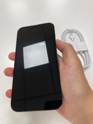 iPhone 13 Pro Max | Negozio | Garanzia