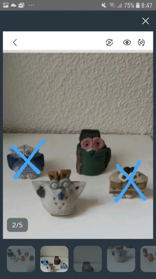 Collezione di gufi decorativi